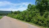 41.8 Hwy 127, Pikeville, TN 37367